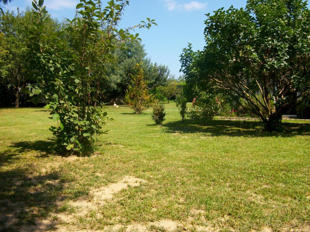 Domaine De Monein Bed & Breakfast Saint-André-de-Cubzac Eksteriør bilde